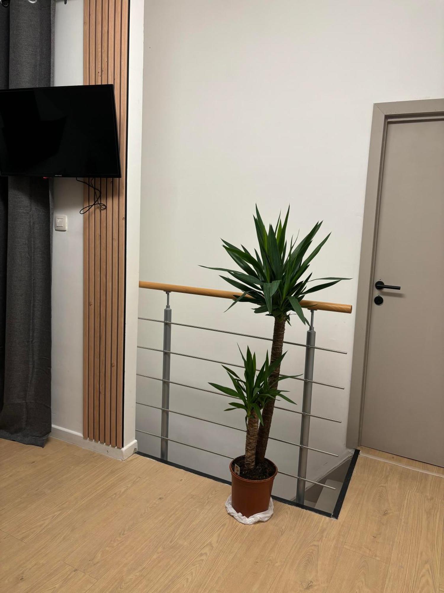 Ubuntu House - Charleroi Διαμέρισμα Εξωτερικό φωτογραφία